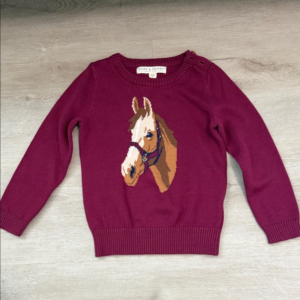 Hope & Henry Burgundy Sweater with Horse Design